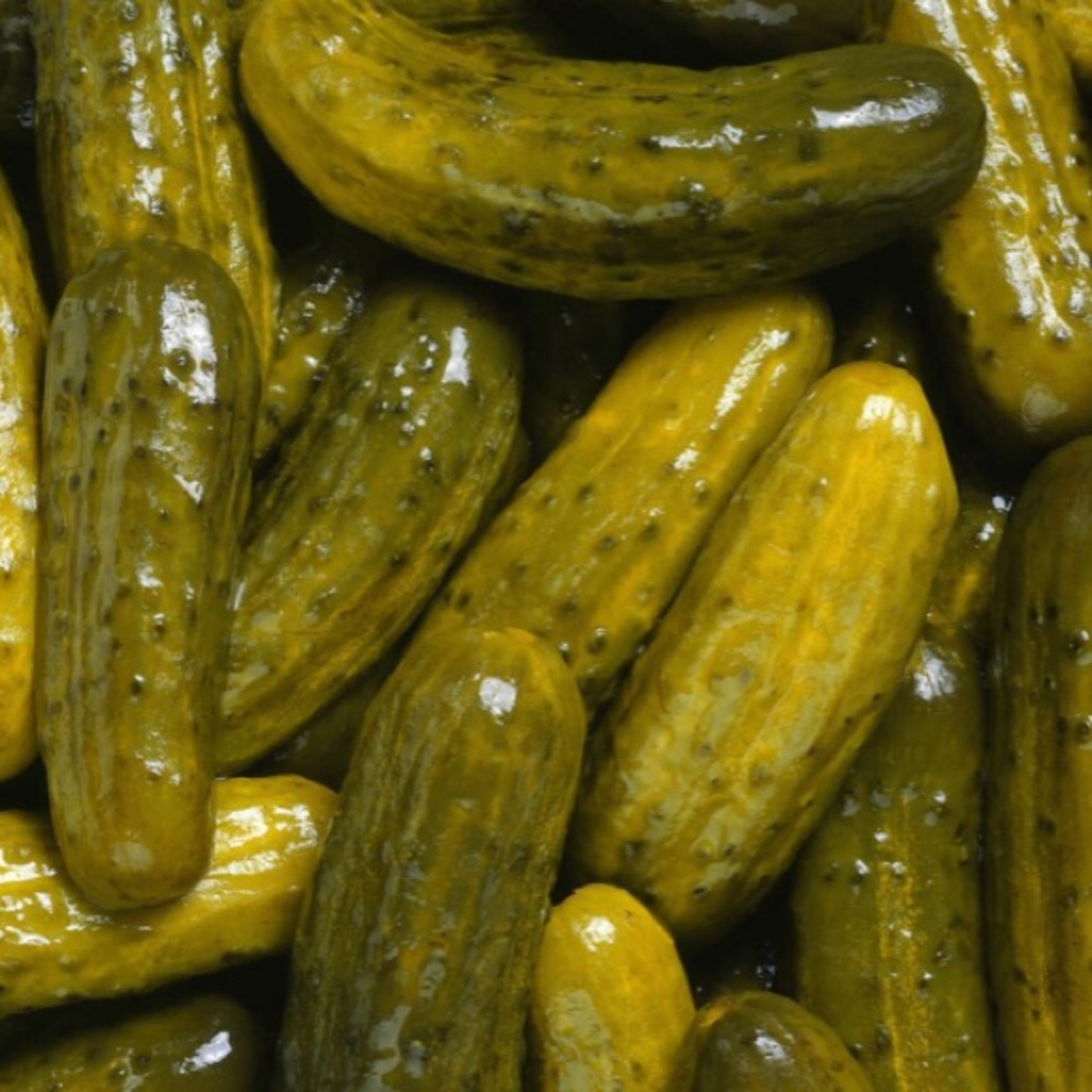 Meet your Posher, Jillian